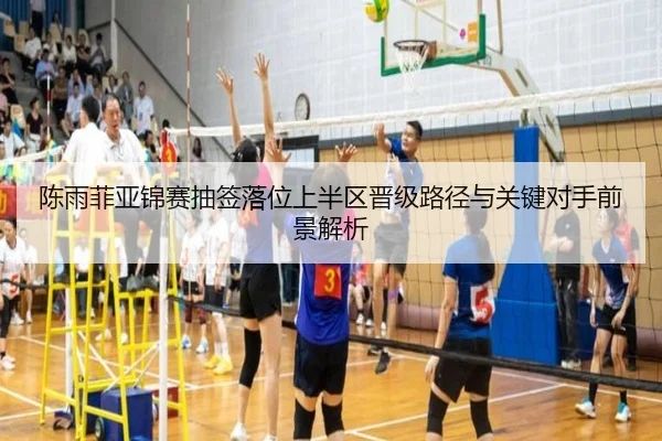 img_1791986780502_147_0_350.jpg | haobosports